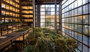 Ford Foundation Center for Social Justice. 