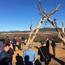 A photo of Life Support during its unveiling last summer, showing tree limbs and branches structured together to create habitat for native flora and fauna in the Australian desert. 